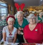 PXL_20241216_014250919~2